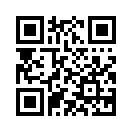 QR CODE 341