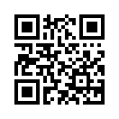 QR CODE 344