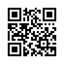 QR CODE 378