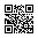 QR CODE 381