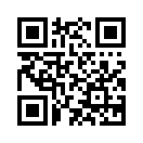 QR CODE 385