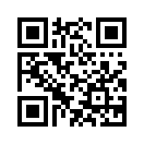 QR CODE 394