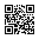 QR CODE 42