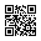QR CODE 485