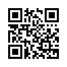 QR CODE 493