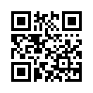 QR CODE 528