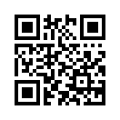 QR CODE 529