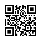 QR CODE 538