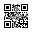 QR CODE 729