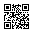 QR CODE 737