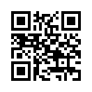 QR CODE 42