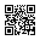 QR CODE 31