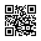 QR CODE 31