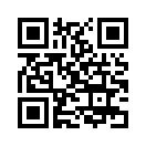 QR CODE 42