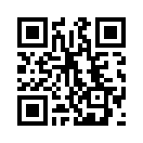 QR CODE 133