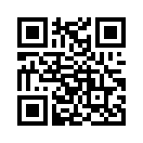 QR CODE 31