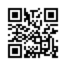 QR CODE 228