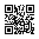 QR CODE 256