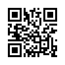 QR CODE 305