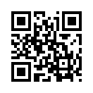 QR CODE 309