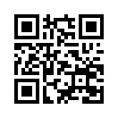 QR CODE 316