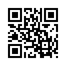 QR CODE 317