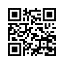 QR CODE 336