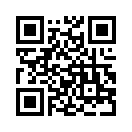 QR CODE 494