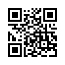 QR CODE 511