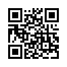 QR CODE 528