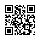 QR CODE 677