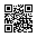 QR CODE 734