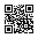 QR CODE 913