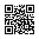 QR CODE 924