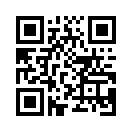 QR CODE 31