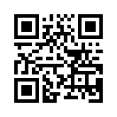 QR CODE 42