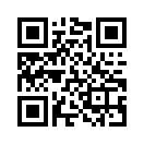 QR CODE 42