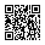 QR CODE 228