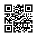 QR CODE 31