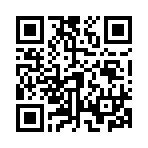 QR CODE 332