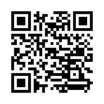 QR CODE 381