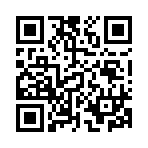 QR CODE 458