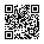 QR CODE 461