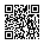 QR CODE 483