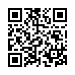 QR CODE 491