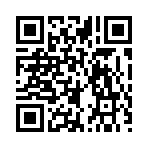 QR CODE 521