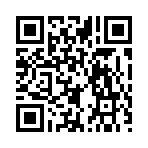 QR CODE 529