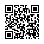 QR CODE 16