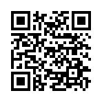QR CODE 17