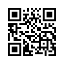 QR CODE 2381